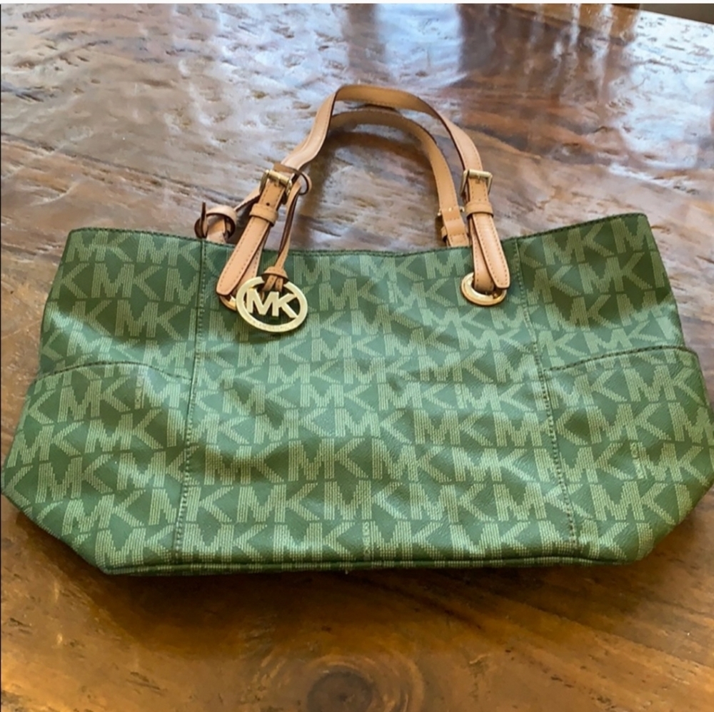 In Search Of this Bag!